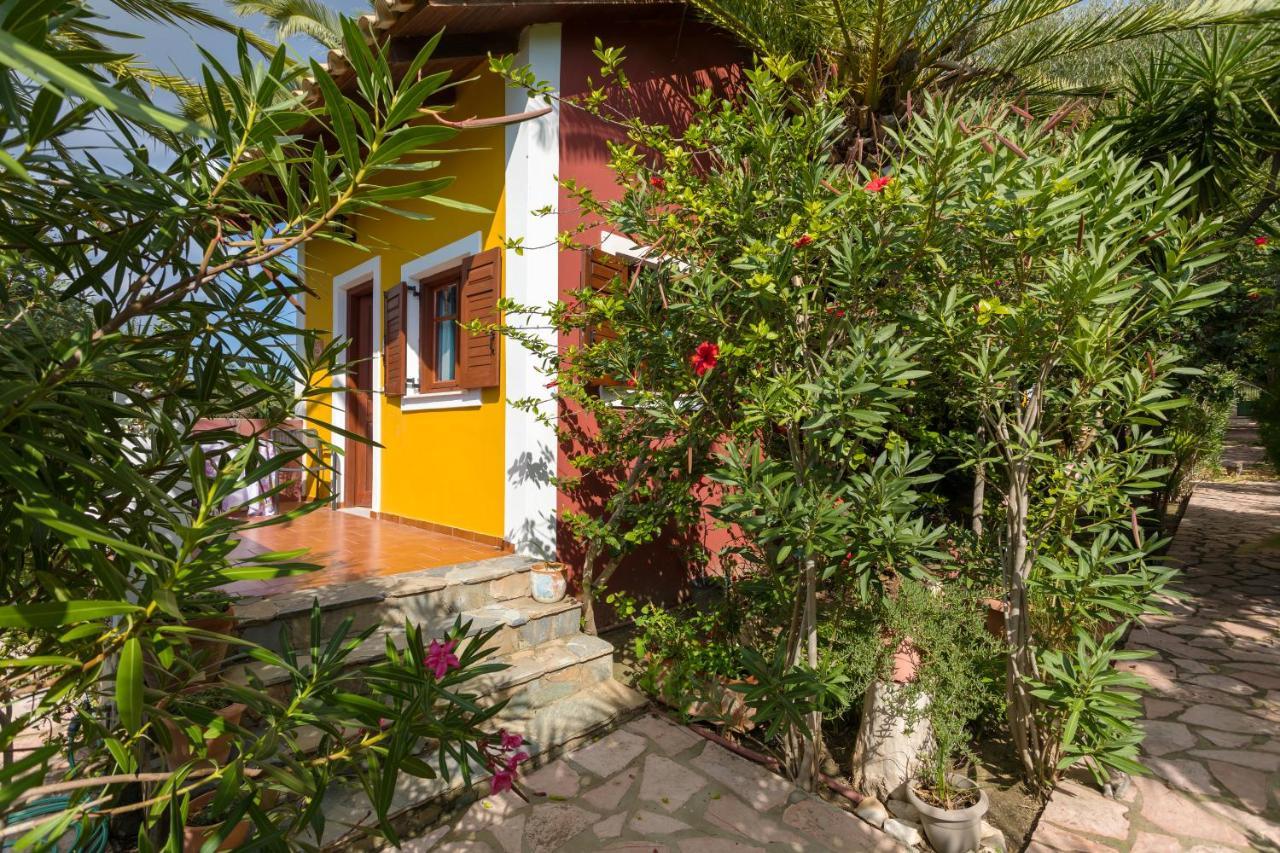 Apartment Garden Of Eden