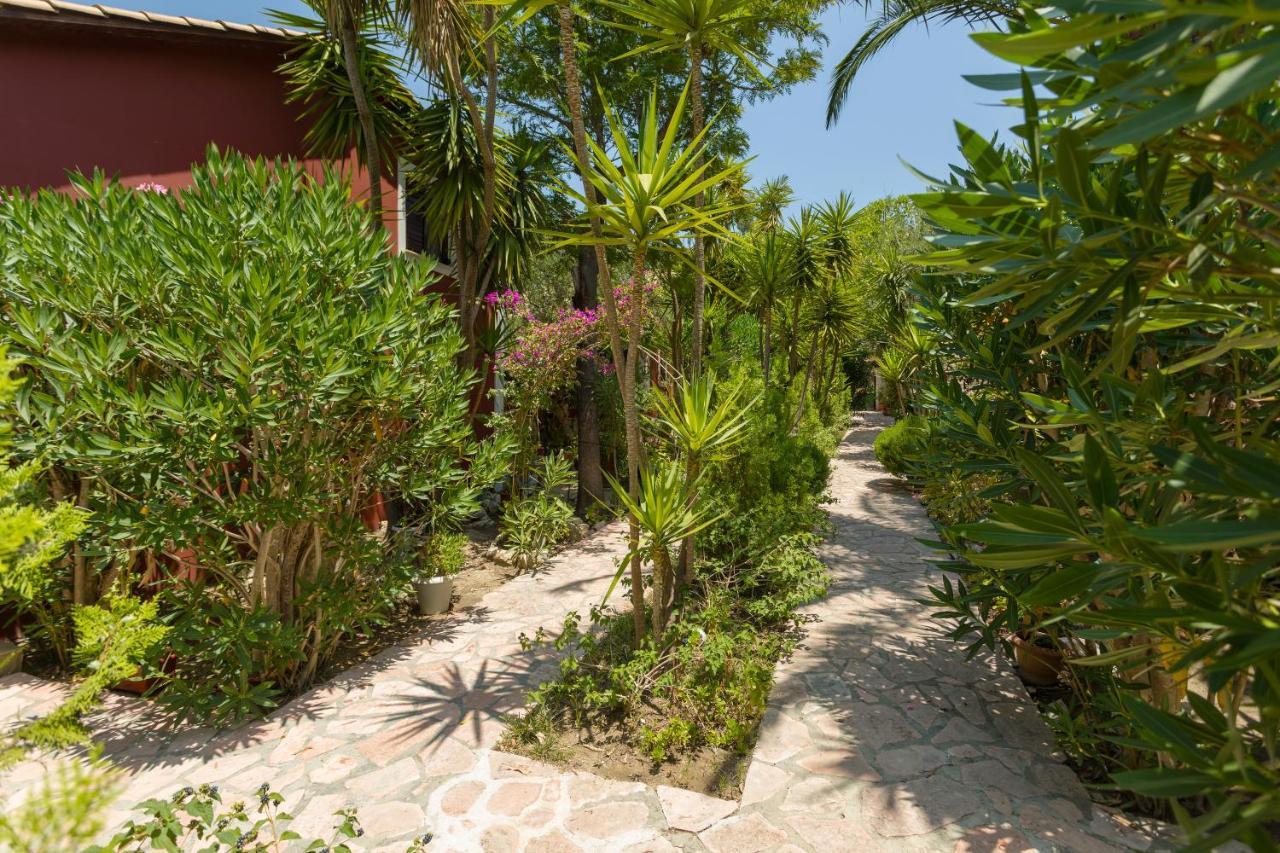 Apartment Garden Of Eden